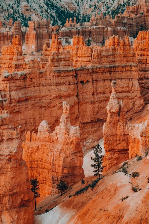 Wander Camp Bryce Canyon - Escalante Кэннонвилл Экстерьер фото